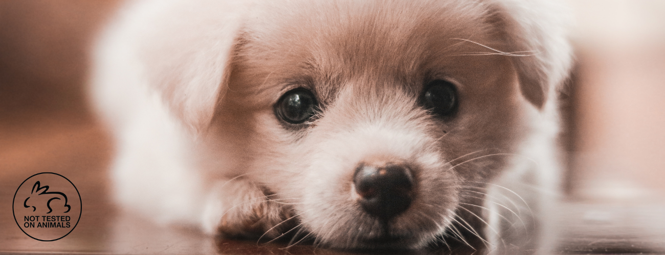ce inseamna eticheta Cruelty Free
